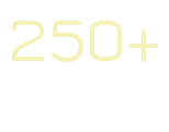 250+ Attendees