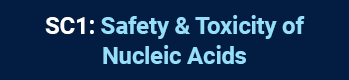 Short Course 1: Safety & Toxicity of Nucleic Acids 