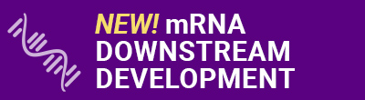 mRNA Downstream Development