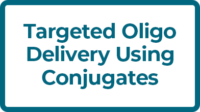 Targeted Oligo Delivery Using Conjugates
